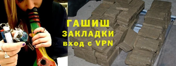 мдпв Бородино