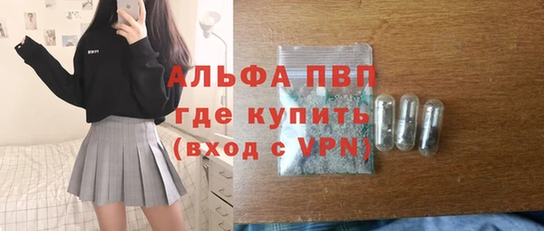 мдпв Бородино
