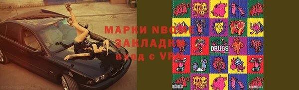 мдпв Бородино