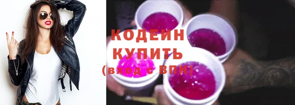 мдпв Бородино