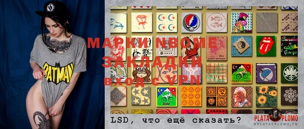 мдпв Бородино