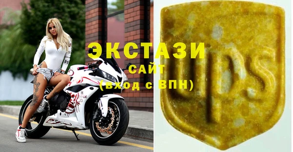 мдпв Бородино