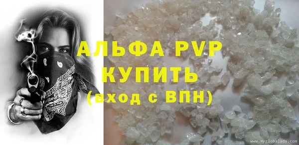 мдпв Бородино