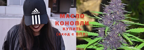 мдпв Бородино