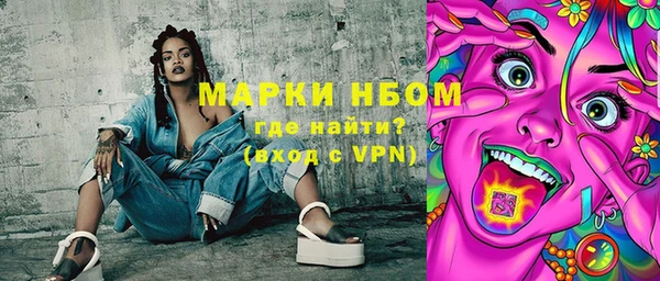 мдпв Бородино