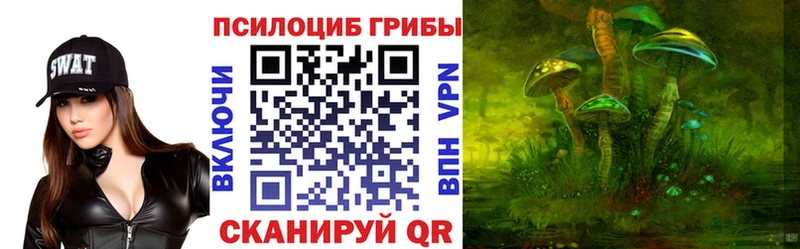 Галлюциногенные грибы Psilocybe  Сосногорск 